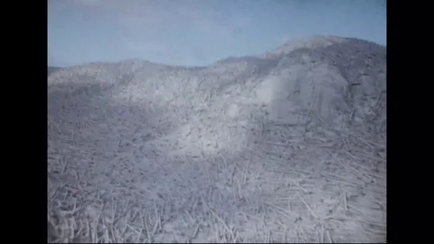Damage areas of forest by the eruption of Mount St. Helens - 1980 - 1983 Stock Footage 99097367