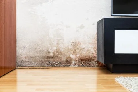Damage caused by damp on a wall in modern house Stock Photos