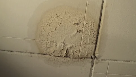 Damage caused by water leakage on the ceiling. Stock Footage 97105210