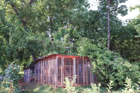 Damage to chicken coop from fallen tree branches after storm in rural area Foto stock