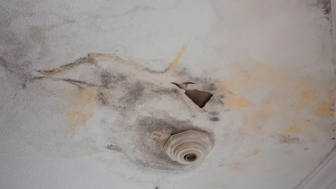 Damage done to a home's interior wall by rain water infiltration Stock Footage 100438704