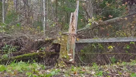 Damage Fence In Forest Stock Footage 96370733