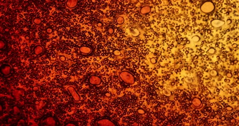 Damage Film Burned In A Fire Stock Footage 206164409