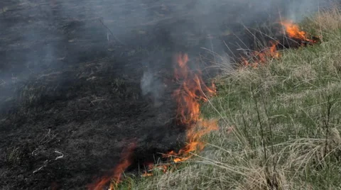 Damage Fire In Dry Agriculture Field in Drought Season, Hot Summer, No Rain Stock Footage