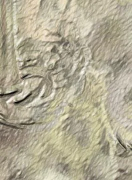 Damage to an old, worn-out wall. Light texture with dents. Stock Illustration