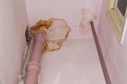 Damage to property is shown in this image, a clear sign of plumbing issues 스톡 사진