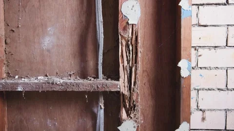 Damage from termites on a stud wall. Brick wall home. Stock Footage 333299000