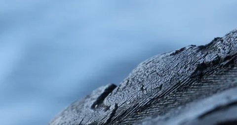 Damage tire on Boat Video stock 280262298