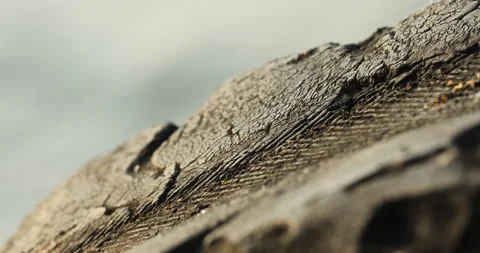 Damage tire on Boat Video stock 280262452