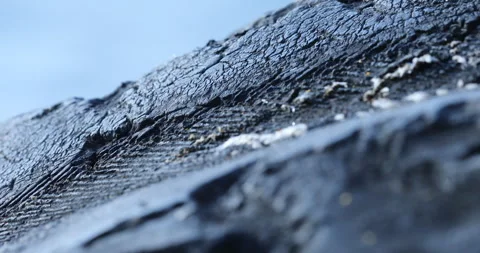 Damage tire on Boat Video stock 280262599