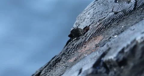 Damage tire on Boat Video stock 280262767