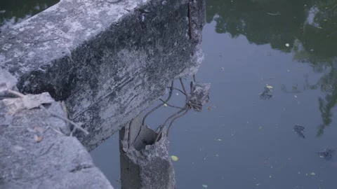Damaged Bridge Edge Video stock 338342467