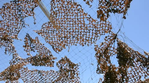 Damaged camo netting in front of blue sky. view of the sky through a camouflage  库存影片 155865143