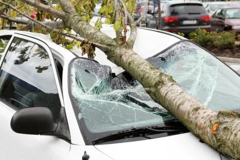 Damaged car Stock Photos