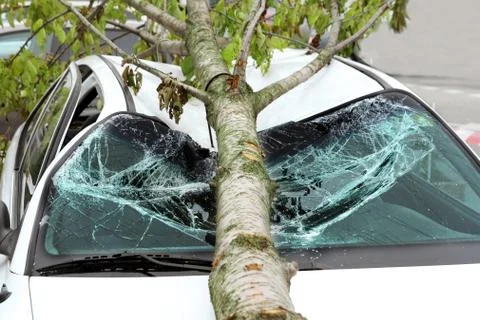Damaged car Stock Photos