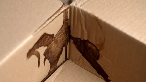 Damaged cardboard shipping box with liquid stain Stock Footage 329097700