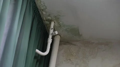 The damaged ceiling and walls are covered with peeling paint, visible water Stock Footage 301184513
