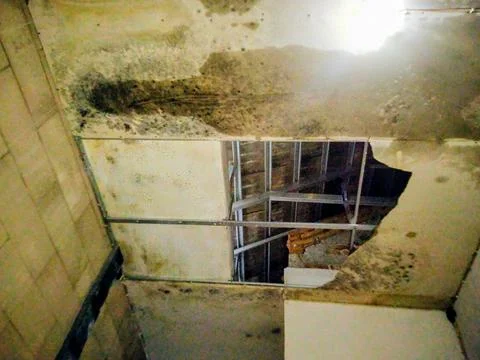 Damaged Ceiling with Black Mold and Exposed Metal Framing Fotos Stock