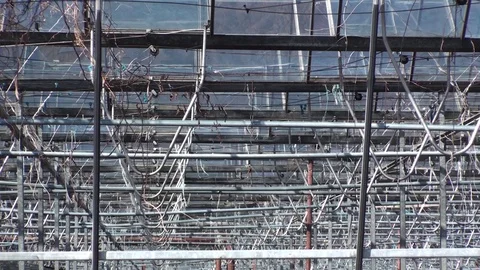 Damaged devastated greenhouse Stock Footage 107190775