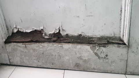 Damaged door Stock Footage 310331486