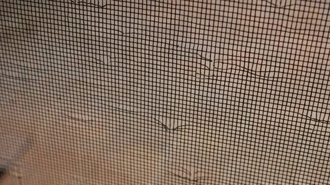 Damaged Door Screen Mesh with Cat Scratches Stock Footage 324426328