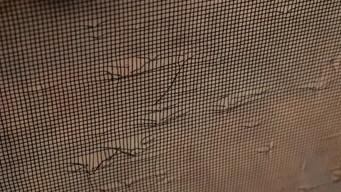Damaged Door Screen Mesh with Cat Scratches Stock Footage 324426406