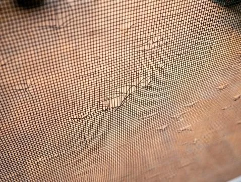 Damaged Door Screen Mesh with Cat Scratches and Holes Pet Destruction Home .. Stock Photos