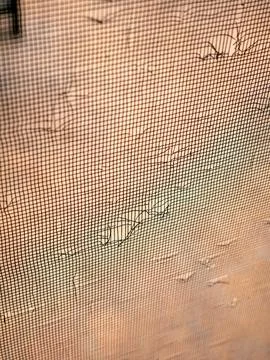 Damaged Door Screen Mesh with Cat Scratches and Holes Pet Destruction Home .. Stock Photos