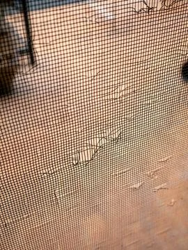 Damaged Door Screen Mesh with Cat Scratches and Holes Pet Destruction Home .. Stock Photos
