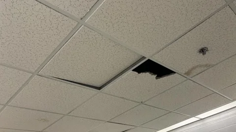 Damaged Drop Ceiling in Public Restroom 1 Stock Footage 324600004