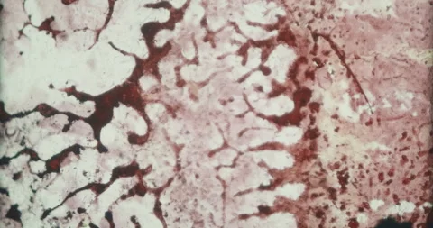 Damaged film Vídeo Stock 145736375