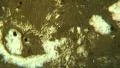 Damaged Film Leader Texture Loop- Vintage 8mm Footage HD Footage