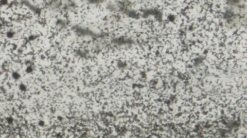 Damaged Film Texture Close Up Stock Footage 128311882