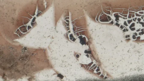 Damaged Film Texture Close Up Stock Footage 128311900