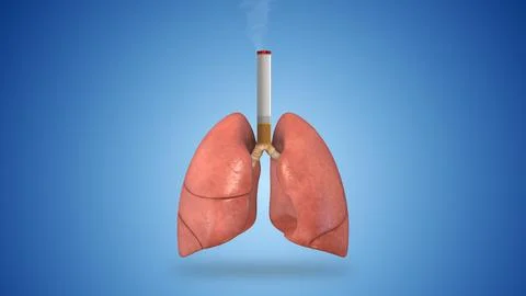 Damaged human lungs with a cigarette Illustration