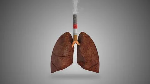 Damaged human lungs with a cigarette Illustration