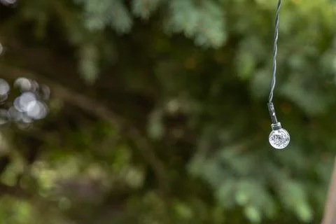 Damaged LED string lights in a garden pergola after heavy rain Stock Photos