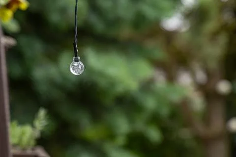 Damaged LED string lights in a garden pergola after heavy rain Stock Photos