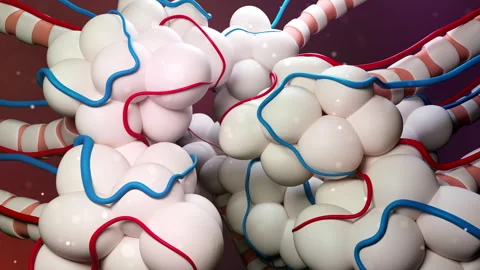 Damaged Lung Alveoli Stock Footage 290860245