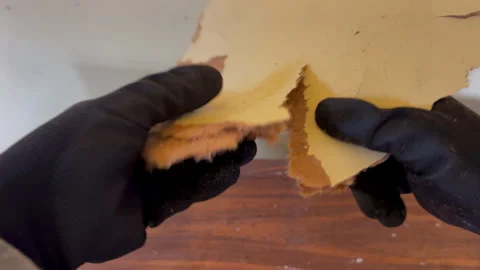Damaged MDF Panel Torn by Gloved Hands After Moisture Exposure in 4K30 Vídeos de archivo 332682056