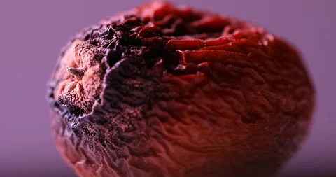 Damaged Medicated Dry Fruit closeup Stock Footage 296519104