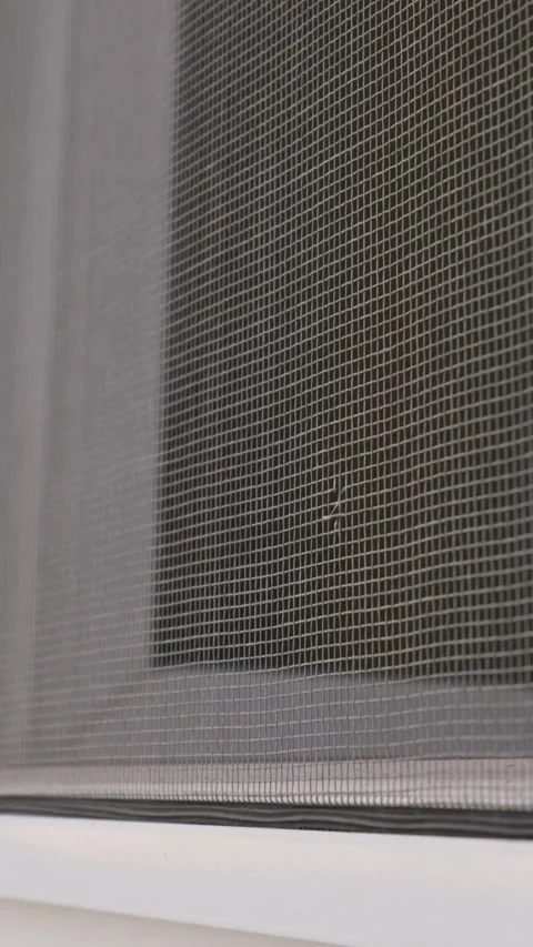 Damaged Mosquito Net with Small Hole Installed on White Window Frame Stock Footage 334736284
