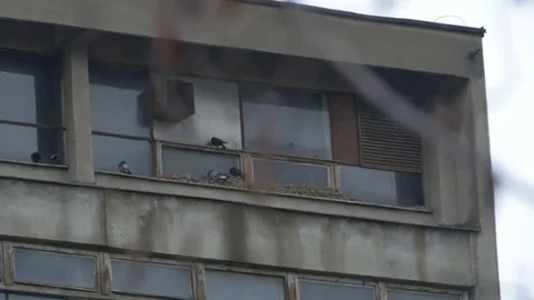 Damaged Old Windows Stock Footage 69269710