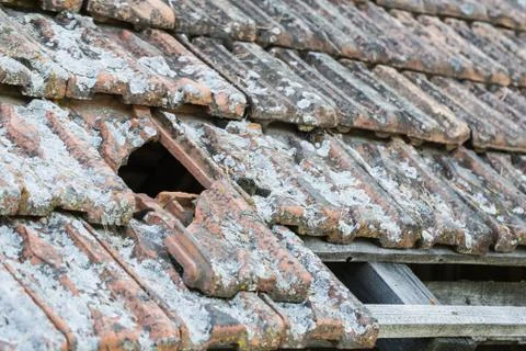 Damaged Stock Photos