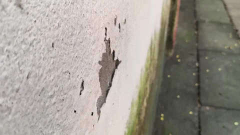Damaged plaster wall with cracks and peeling paint. 库存影片 347660894