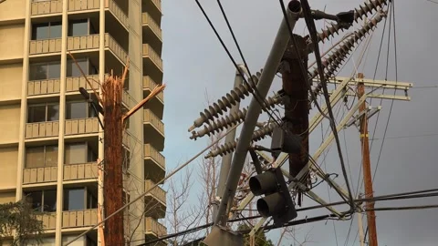 Damaged Power Lines And Fallen Trees Stock Footage 309409927