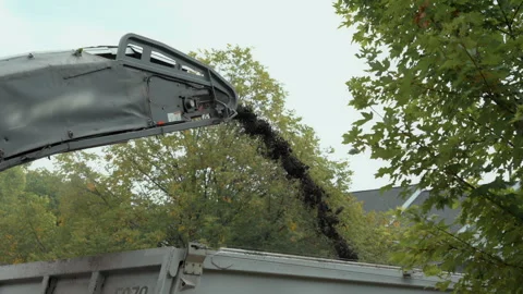 Damaged road surface to be replaced with a new surface, removal of old asphalt, Stock Footage 296088189