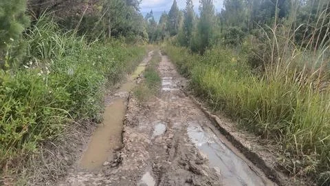 Damaged roads Stock Photos