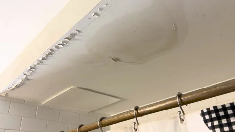 Damaged Shower Ceiling Stock Footage 236411883