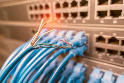 Damaged stranded network cable is located on the background of the server roo Stock Photos